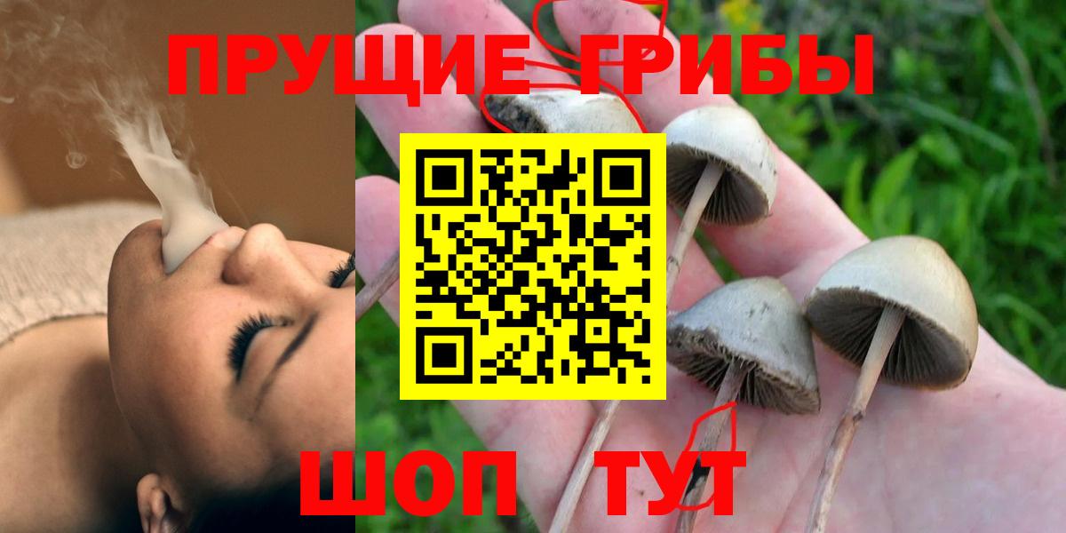 Фрязино  Псилоцибиновые грибы Psilocybine cubensis  Галлюциногенные грибы MAGIC MUSHROOMS  Вход с VPN 